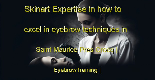 Skinart Expertise in how to excel in eyebrow techniques in Saint Maurice Pres Crocq | EyebrowTraining | EyebrowClasses | SkinartTraining-France